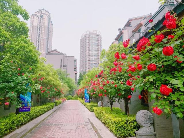 亚星游戏登录平台