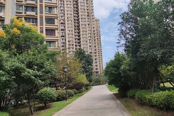 亚星代理管理网